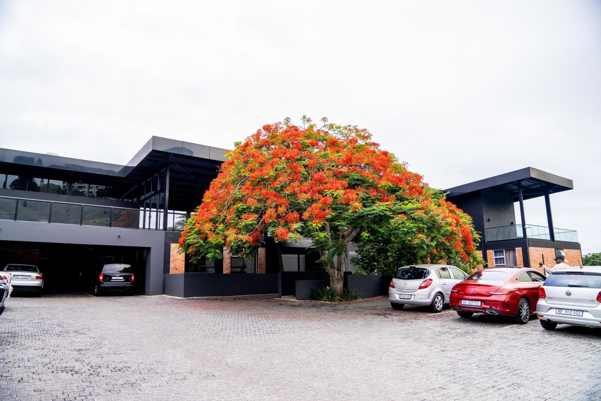 Zar Hotel Amanzimtoti Eksteriør billede
